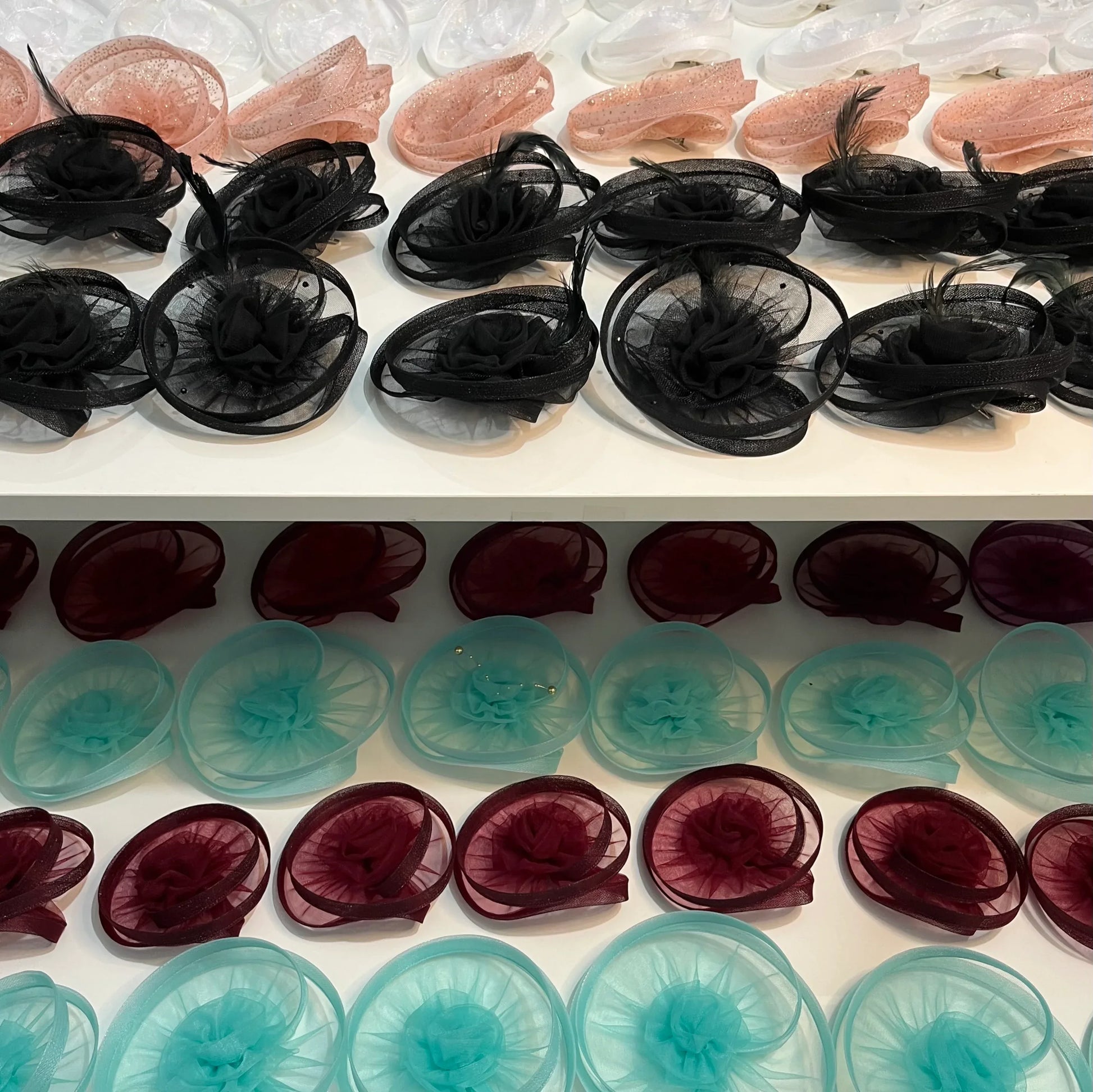 Signature Twisted Fascinators - Pack of 50